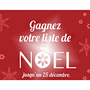Villebon 2 - Gagnez votre liste de Noël ! - d24f6a04 ea97 4620 9160 d873185e8804 - 1