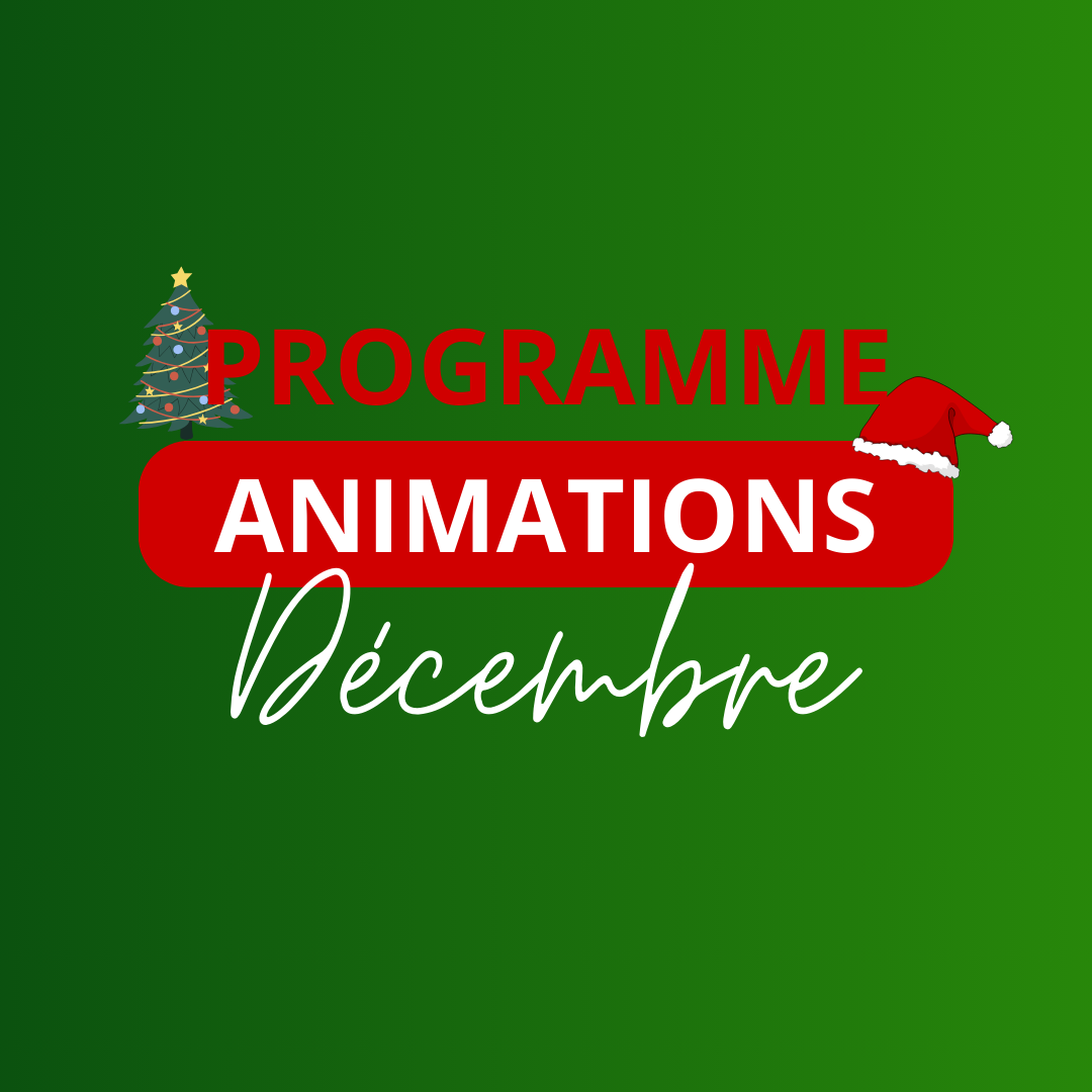 Villebon 2 - - programme animations 6 - 1